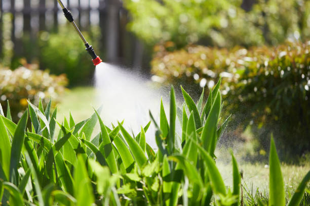 24/7 Emergency Mosquito Control experts in Three Points, AZ